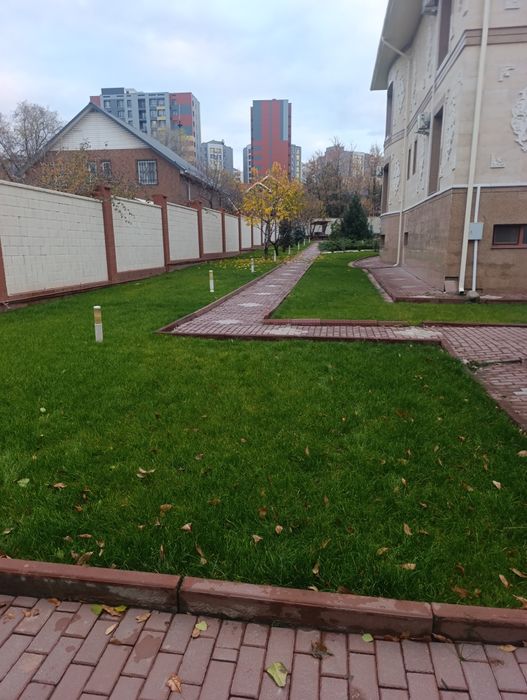 Газон Автополив Стрижка