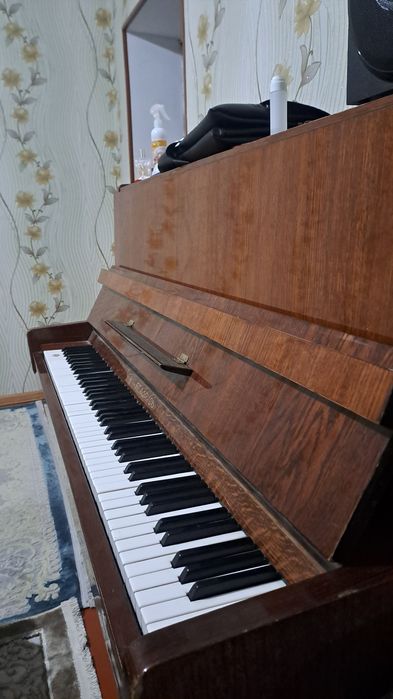 Алам деушілер келіп көруге болады !!!