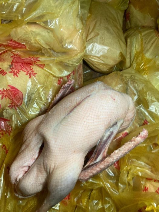 Мясо гусей / Гуси