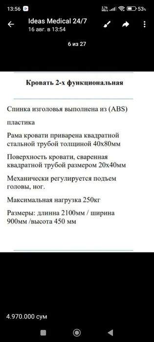 Кровать для больных палатная с двумя подъёмными механизмами