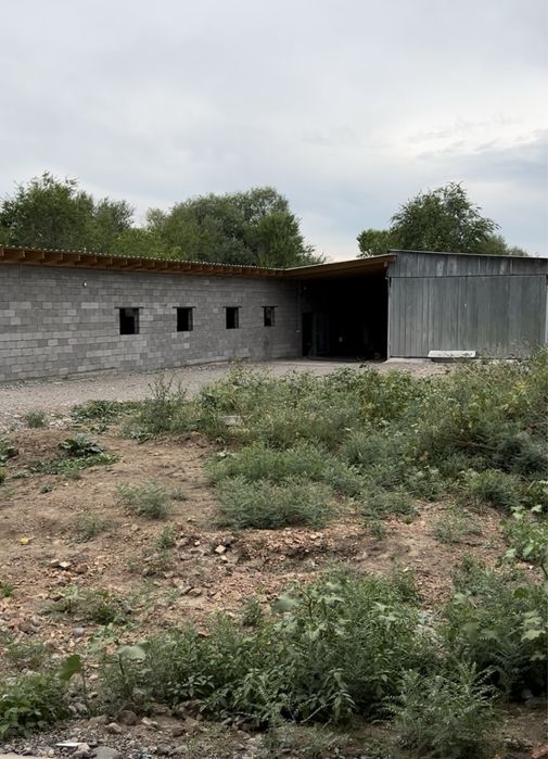 Продается фазенда