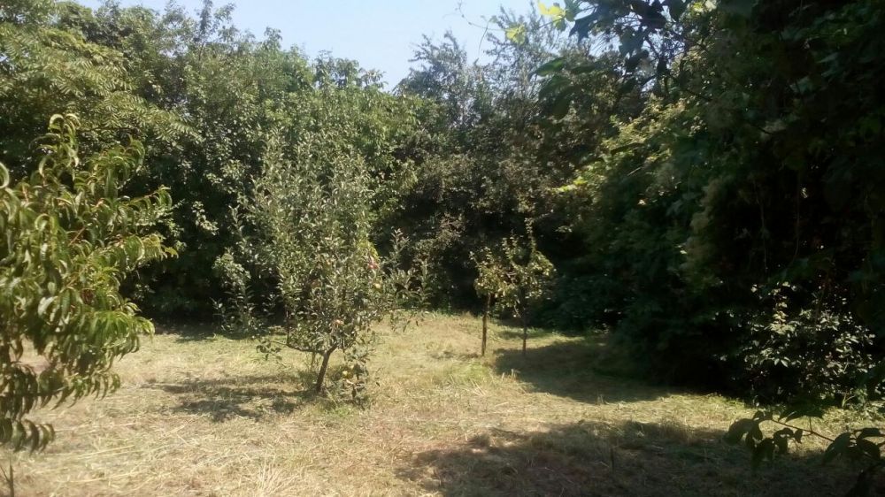 Къща в село Г.Сливово обл. Ловеч