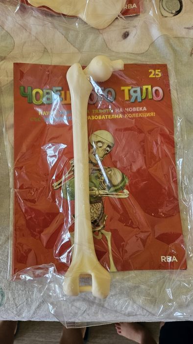 Опознай човешкото тяло