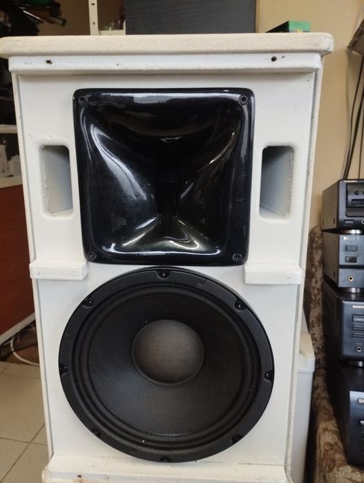 AUDIOPHONY S10W 10 инчови топове