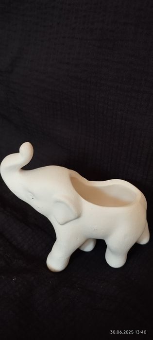 За любителите на слончета