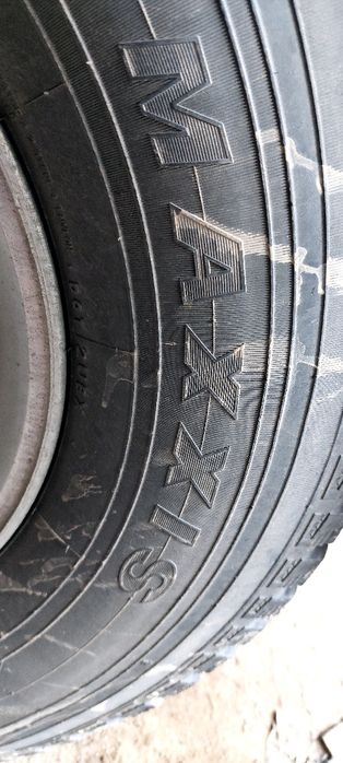 Продам резину зимнюю Maxxis