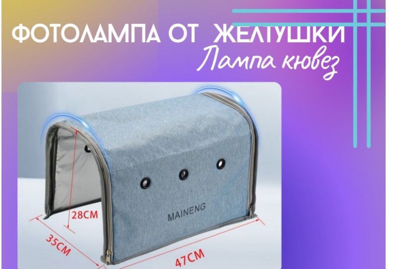 Дос досын порнода байлап тастады.