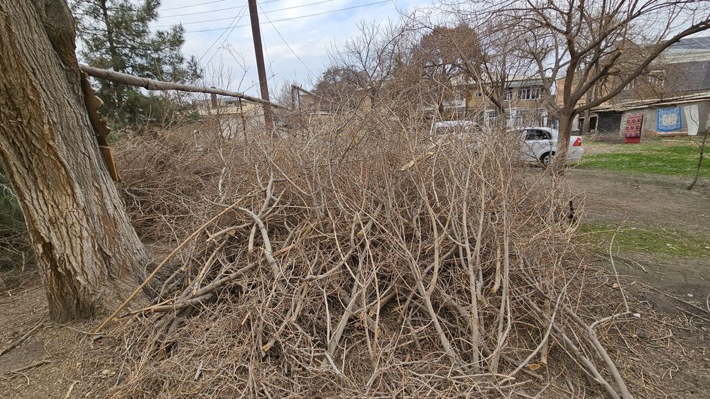 Утин сотилади, хезум, дрова