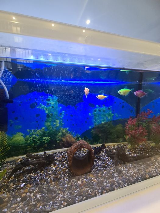 Аквариум с плъзгащ капак 50л