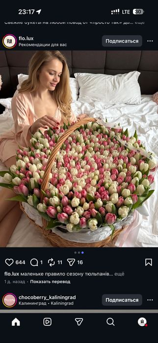 Тюльпаны Голландские