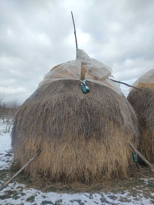 Vand 2 stoguri de fan