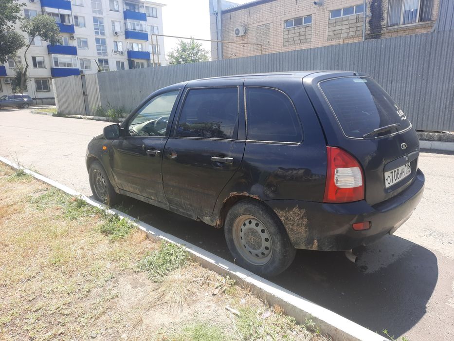 Калина 2011 жылгы