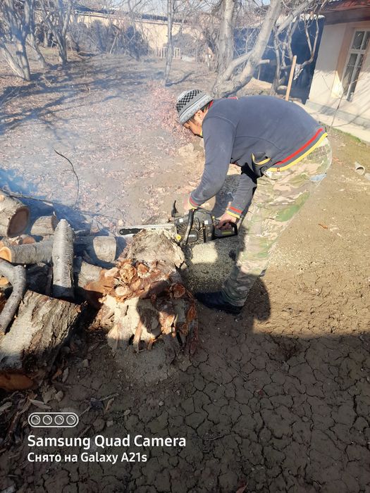 Daraxt kesish xizmati  дарахт кесамиз