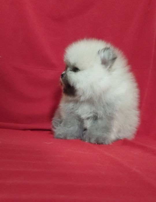 Сссупер мини девочка