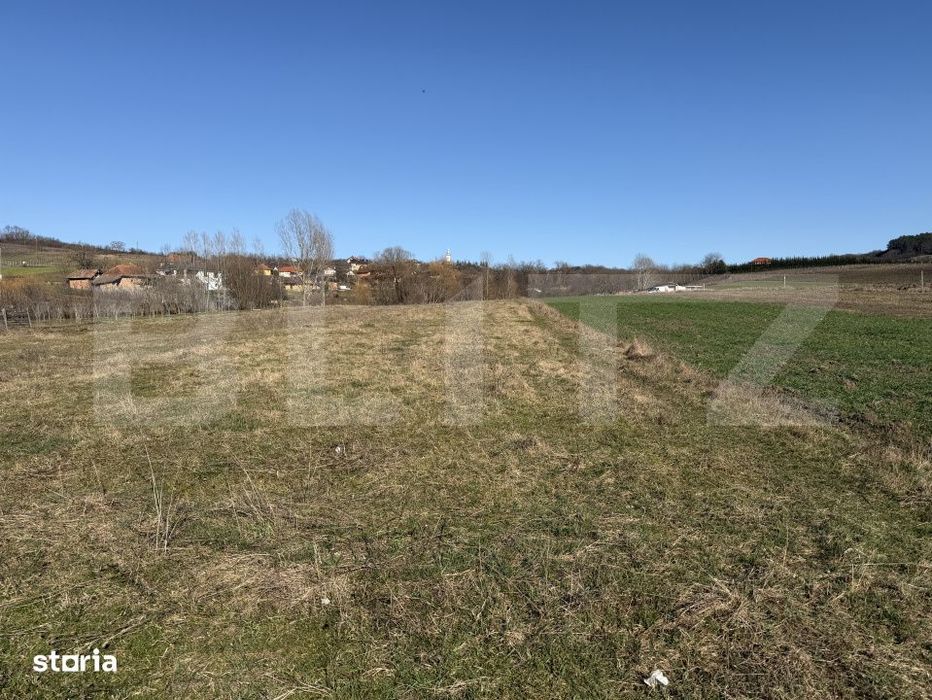 Teren intravilan in localitatea Hereclean in suprafata de 5800 mp