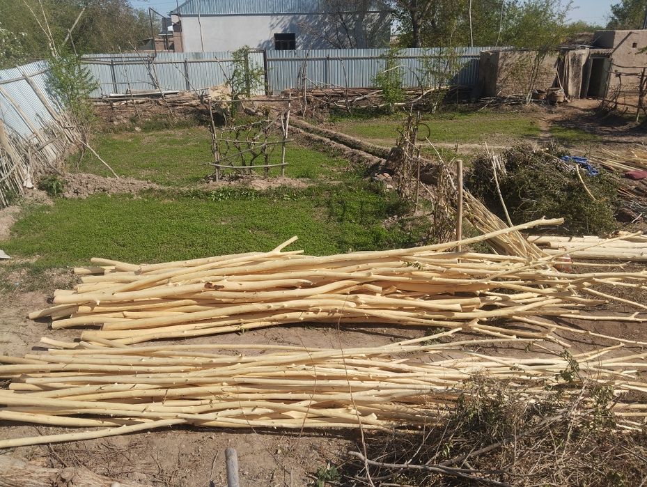 Совут хадалари сотилади ириси 25 мингдан медаси 15 мингдан