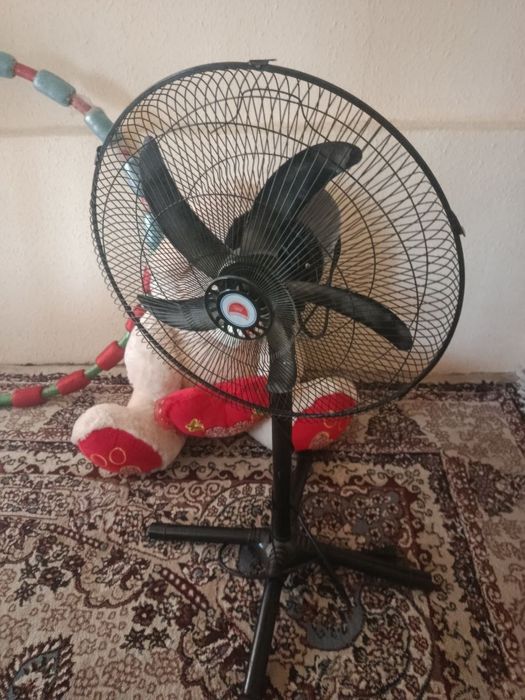 Elektr jixozlari