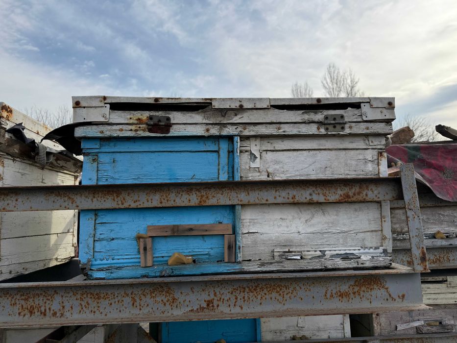 Продается пасека с прицепом