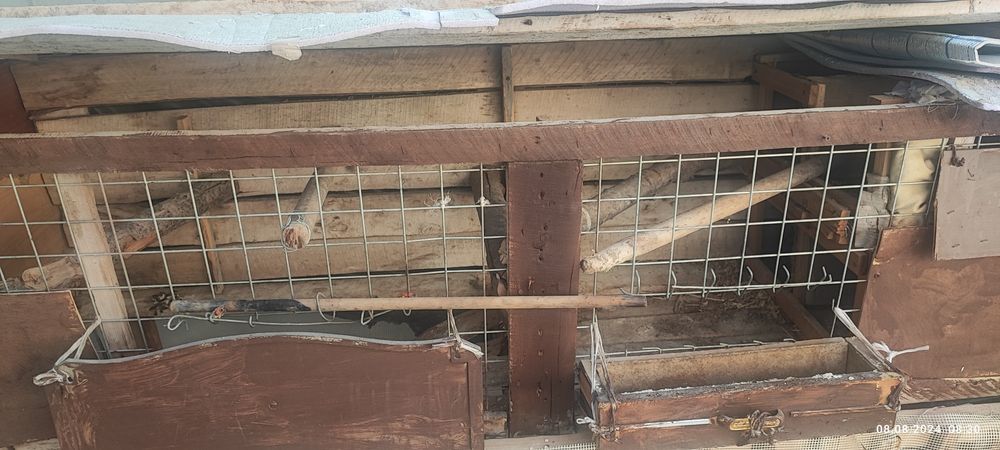 Дом для кролика қуён учун уй