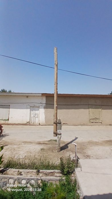 Sim yogʻoch "" stalba " sotiladi