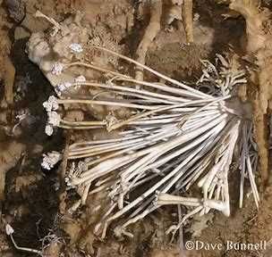 Contabilitate / Lichidari  /  Modificari acte ORICE TIP DE FIRMA