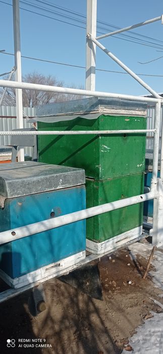 Улья корпусные для пчёл.