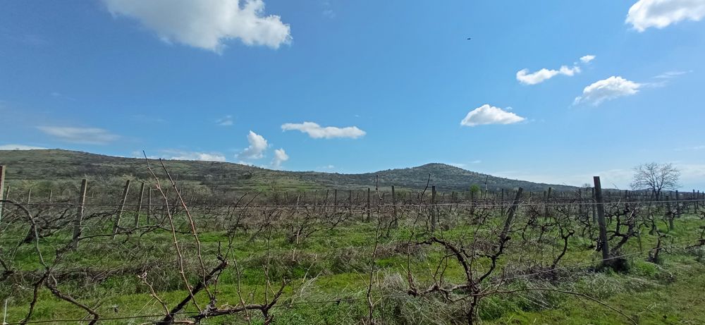 Продава се Земеделски имот в Пазарджик, Окръжна болница -  кв.м за 1272 €/дка - Снимка #2