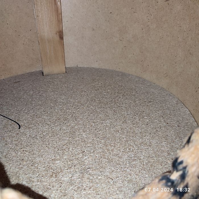 Домик для кошек в дар игрушка