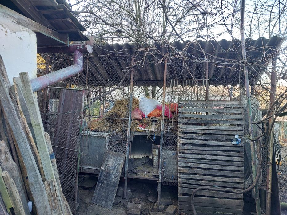 Coser pentru  depozitarea  porumbului