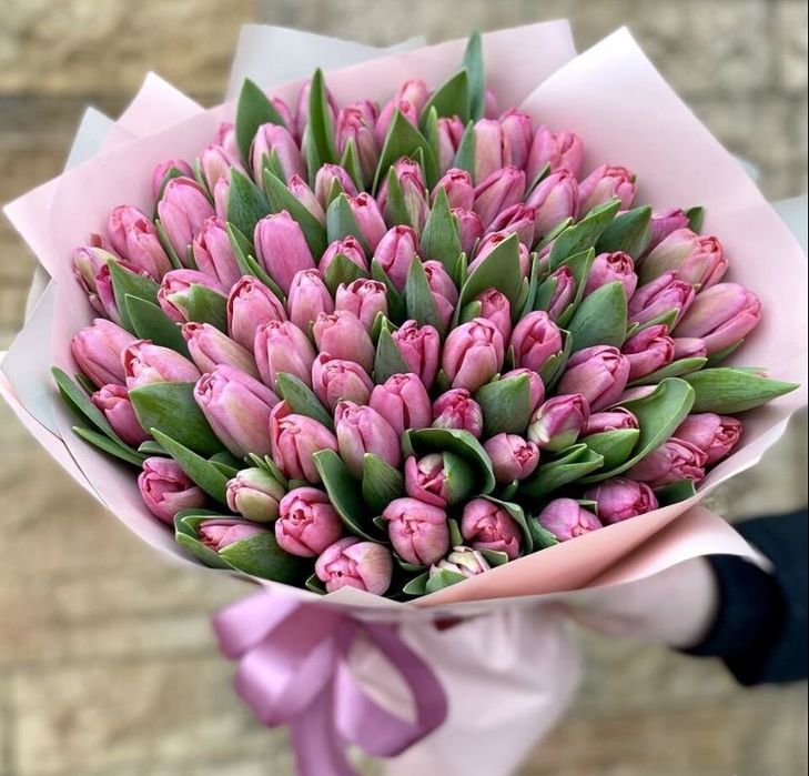 Тюльпаны тепличные