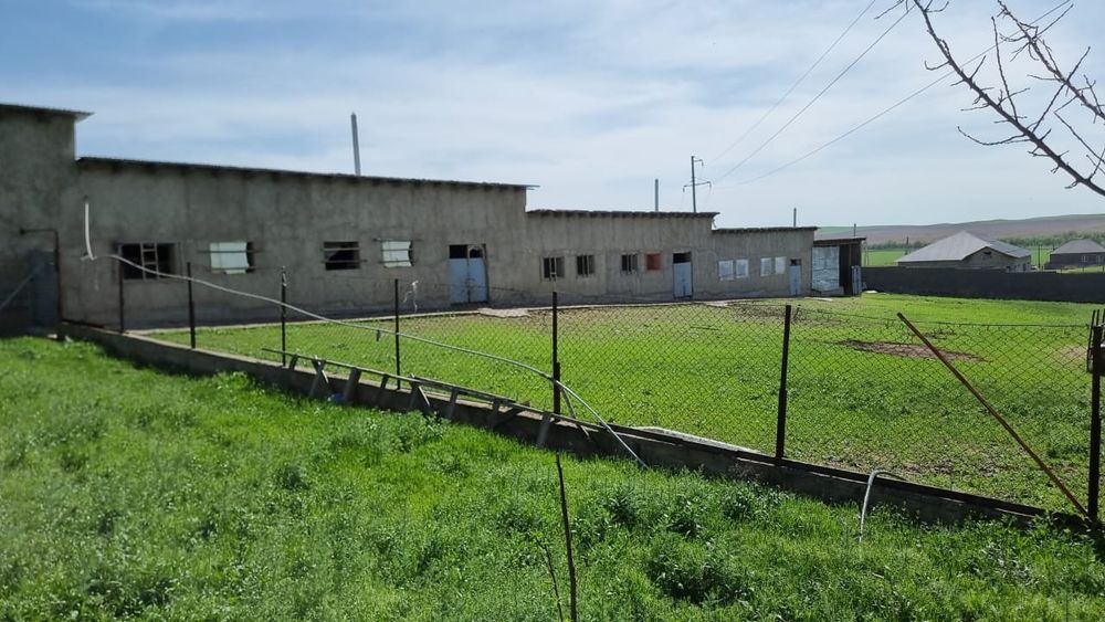 Продаёться фазенда