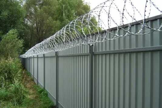 Проволока Егоза (BRUNO sim)