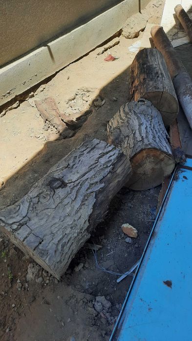 Продам дерево орех