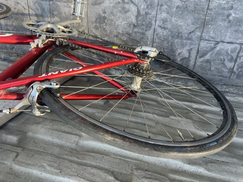 Cursiera Giant OCR
