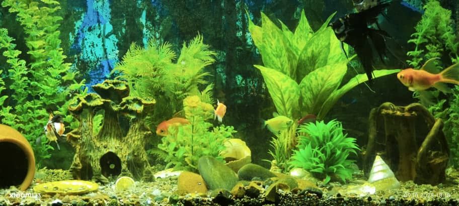 Аквариум комплект 200 литров