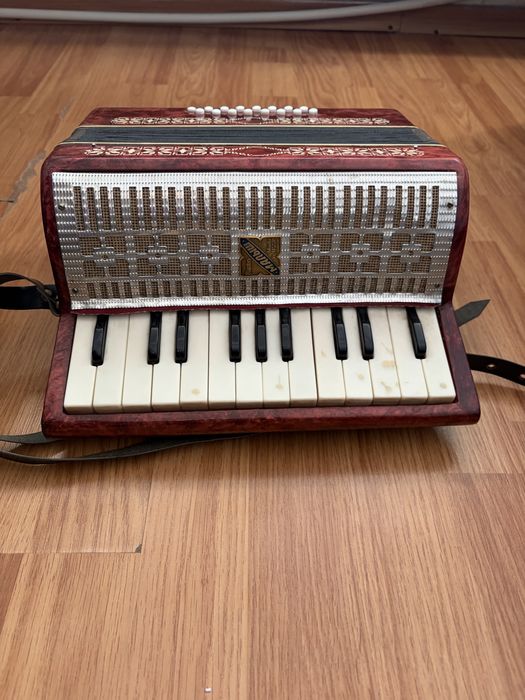 Acordeon Malysh de adolescenți !