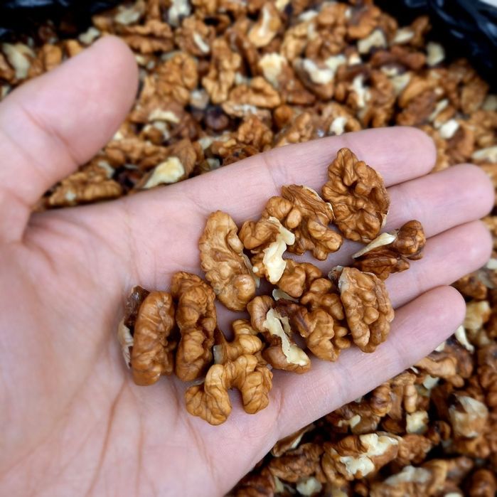 Грецкий орех измельчённый кондитер орехи yong'oq maydalangan для выпеч