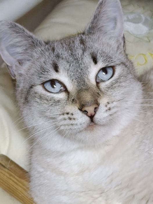 Слава ждёт своего человека.