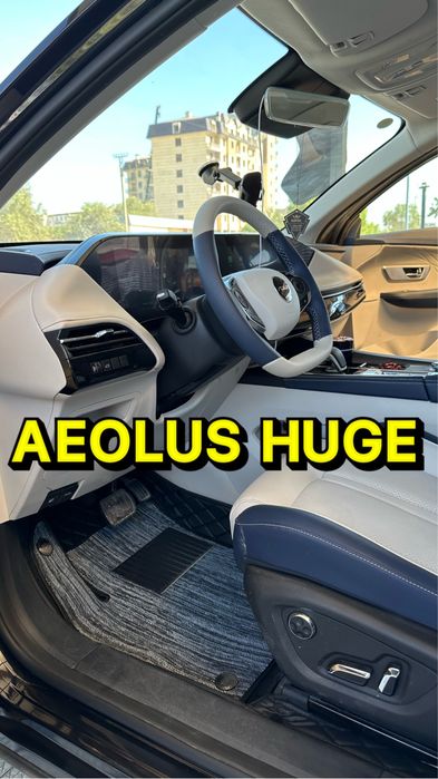9D polik / коврики для Aeolus Huge