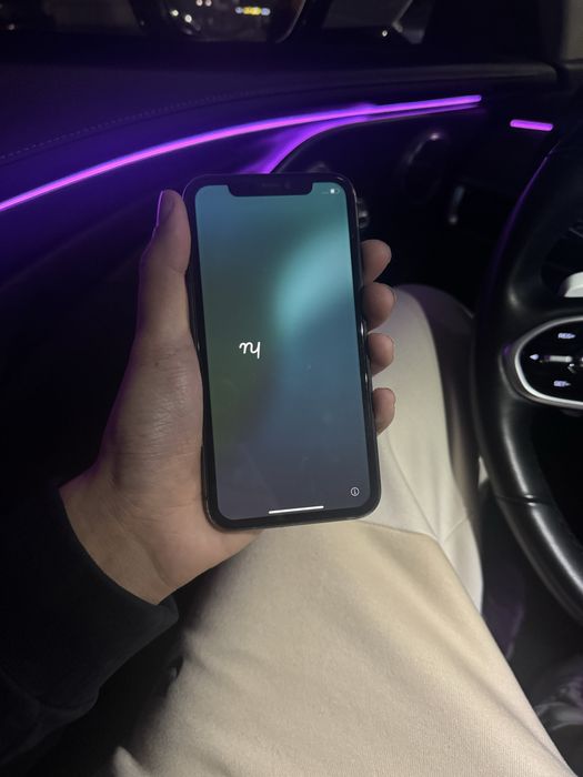 iPhone 11 256GB 100%