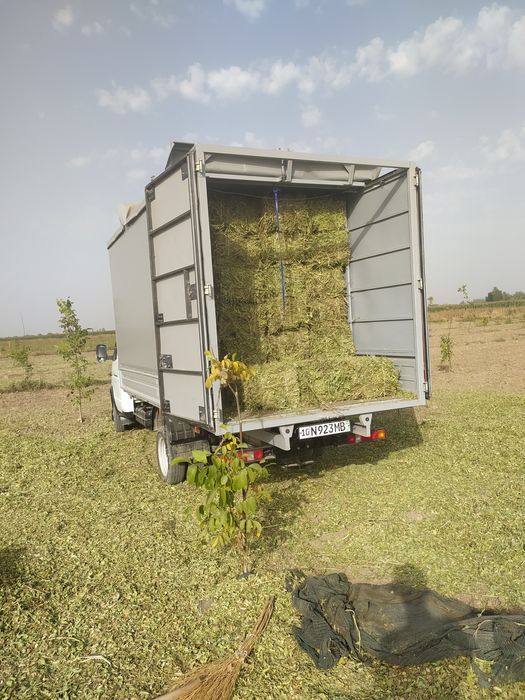 Gazel xizmati Грузоперевозки газель
