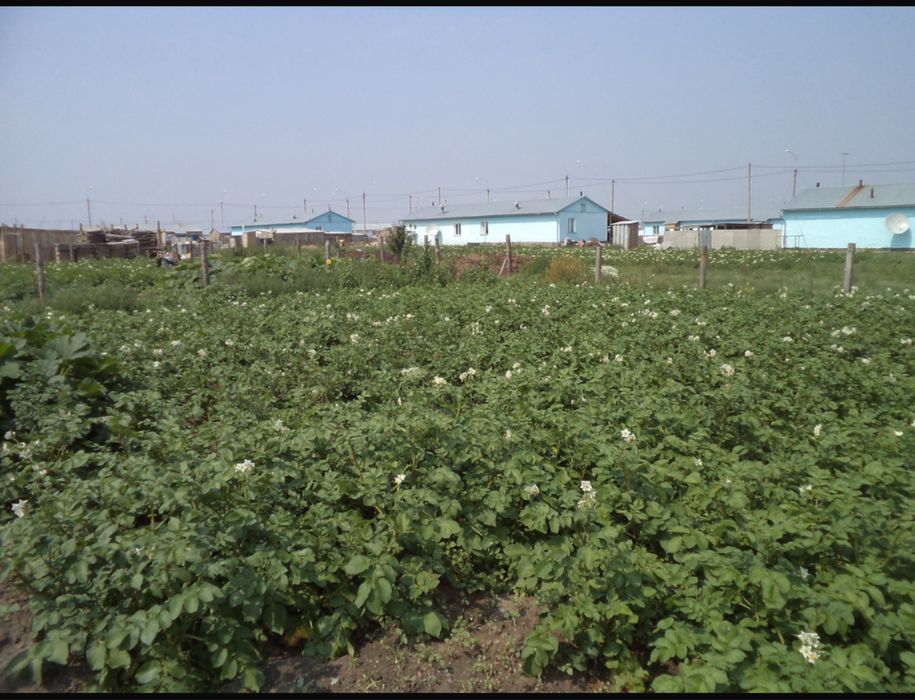 Продам дом 84 кв