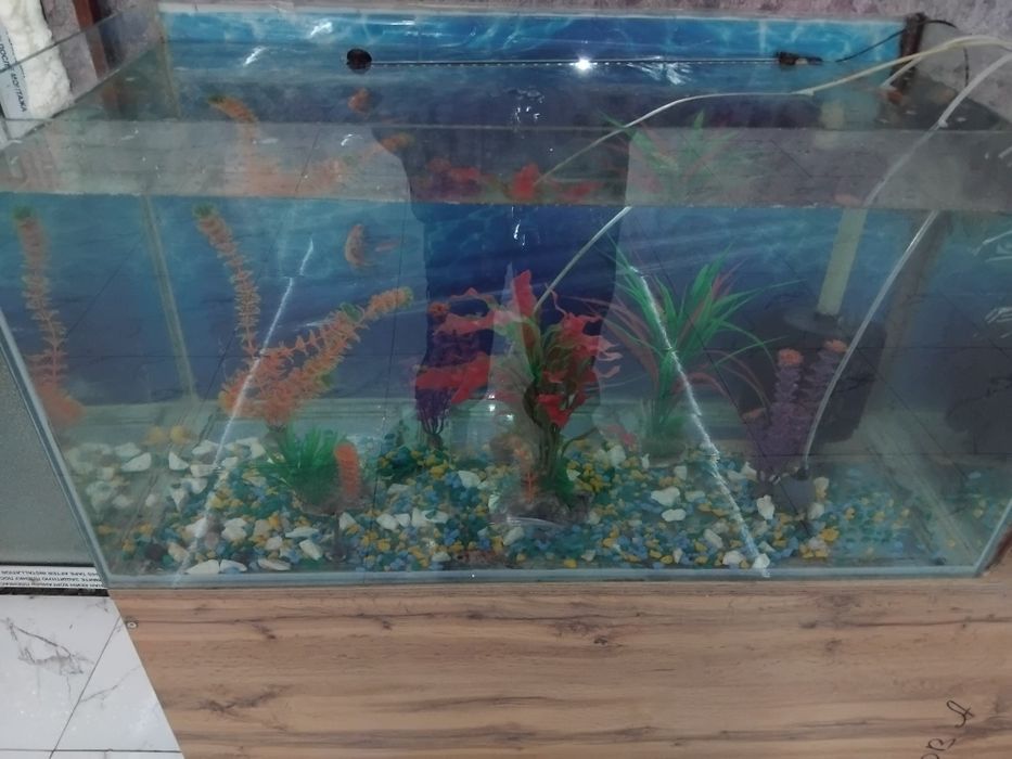 Аквариум бу с рыбками. Полный комплект.