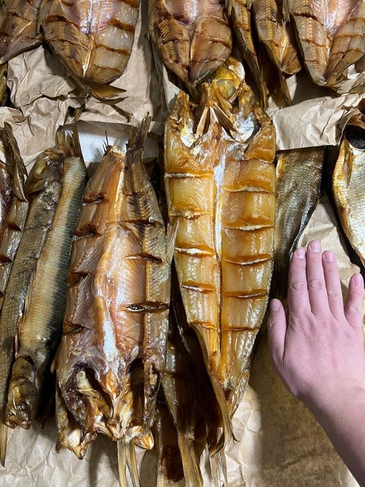 Атырауская рыба, жерех, рыбец, вобла, чехонь