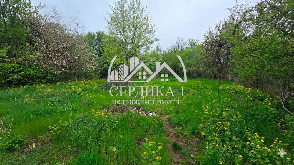 Къща в София, област-с.Дреново
