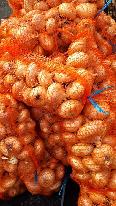 Ceapa galbena plata de vanzare