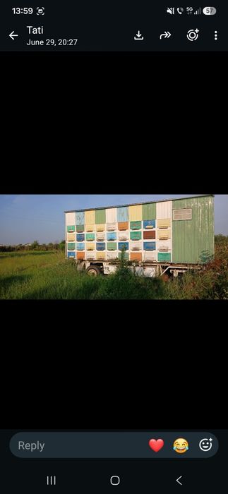 Vand pavilion apicol omologat