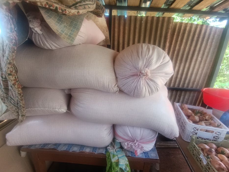 Продам в мешках сафлор.