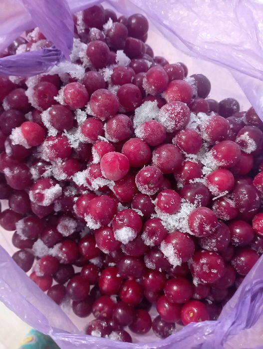 Ягоды свежезамороженые - вишня и черная смородина
