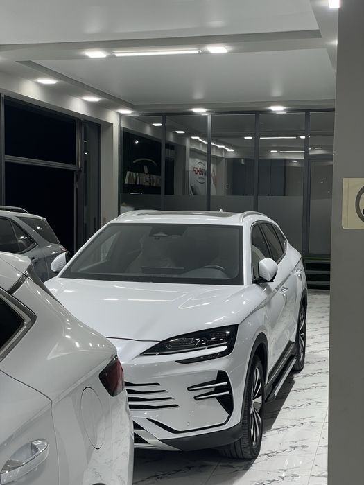 BYD Chempion 150 lik full